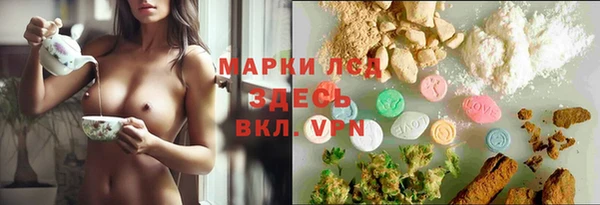 мет Бородино
