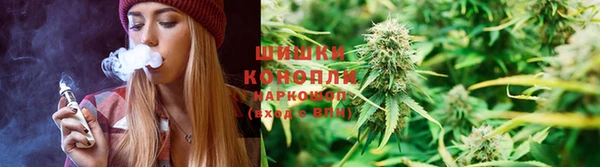 spice Бугульма