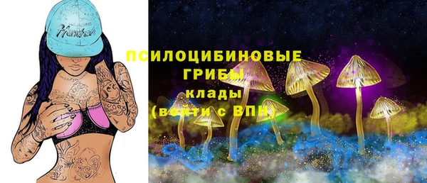 дурь Бронницы
