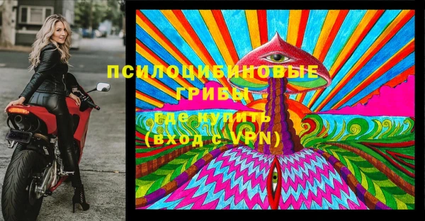 spice Бугульма