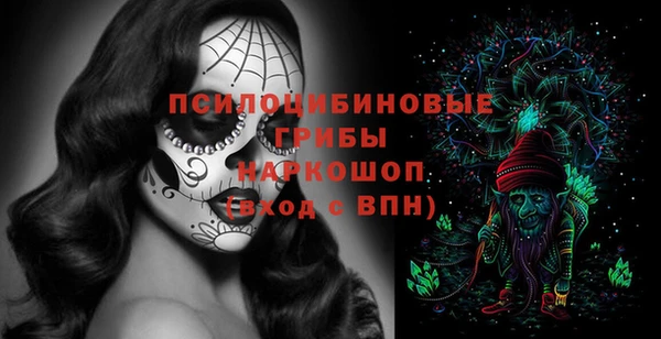 мет Бородино