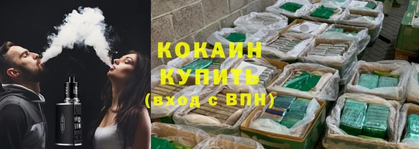 дурь Бронницы