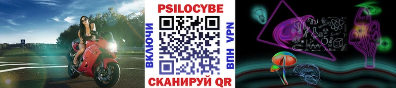 ссылка на мегу ссылка  Горно-Алтайск  Галлюциногенные грибы MAGIC MUSHROOMS  закладки 